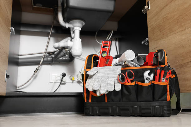 Best Toilet Repair Services  in Laupahoehoe, HI