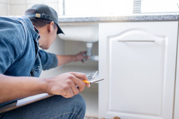 Best Leak Detection Services  in Laupahoehoe, HI