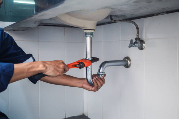 Best Clogged Drain Plumber  in Laupahoehoe, HI