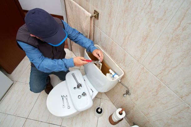 Best Local Plumber Services  in Laupahoehoe, HI