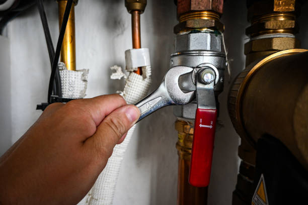 Best Water Leak Repair  in Laupahoehoe, HI